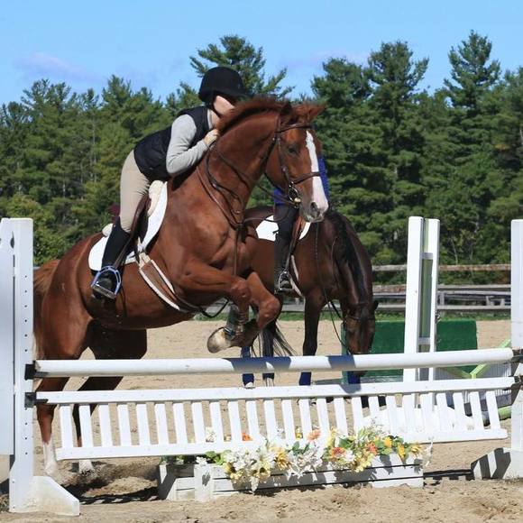 Meet your Posher, Lauren - Picture 1 of 1